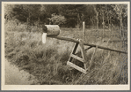 Mail box of cut-over farm, near Northome, Minnesota