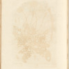 No. 1