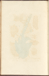 Mullein