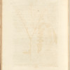 No. 2