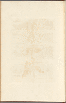 No. 3