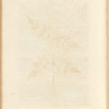 No. 4