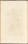 No. 5