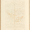 No. 6