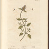 Self heal