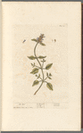 Self heal