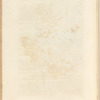 No. 8