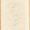 Clivers; Goose grass