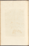 No. 11