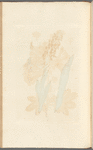 Male satyrion