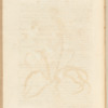 No. 16