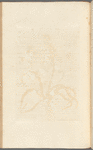 No. 16