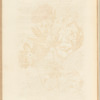 No. 17