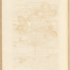 No. 20
