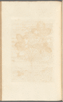 No. 20
