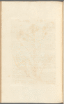 No. 22