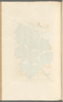 Bears breech, or brank ursin