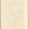 No. 24