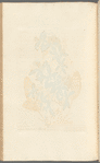 Pomgranates