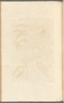 No. 26