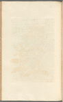No. 29