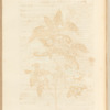 No. 31