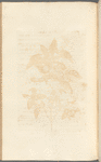 No. 31