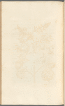 No. 34