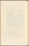 Hart's tongue