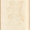 No. 36
