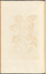 No. 36