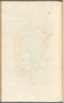 Pomgranates