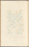 Elder