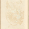 No. 40