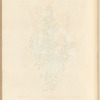 Rosemary