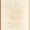 No. 46