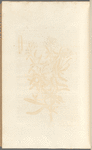 No. 46