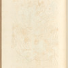 The pine tree, or manur'd pine
