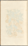 The holly-tree