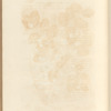 No. 52