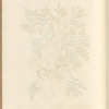 The tree of life