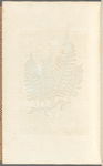 Wall-fern or polypody of the oak