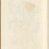 East India tamarind