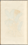 East India tamarind
