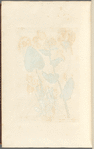 Great woolf's-bane or leopard's-bane