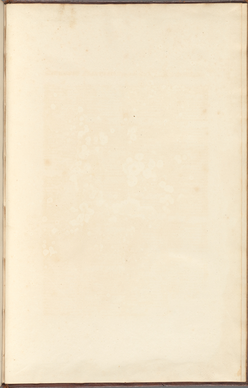 Index