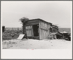Shed on sharecropper's farm, New Madrid County, Missouri