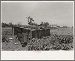 Tool shed of sharecropper, New Madrid County, Missouri