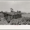 Tool shed of sharecropper, New Madrid County, Missouri