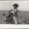 FSA (Farm Security Administration) client's wife with cow, Southeast Missouri Farms
